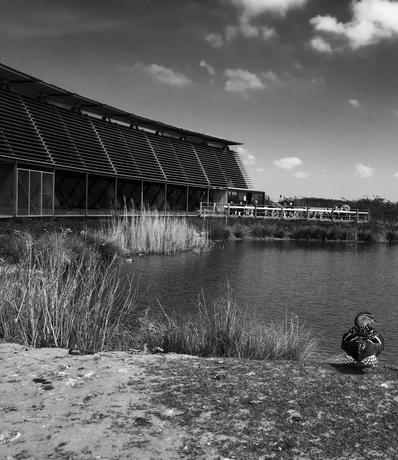 River view near Riverside QS offices in Usk, Monmouthshire